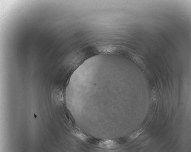 X0000059040431200510211939