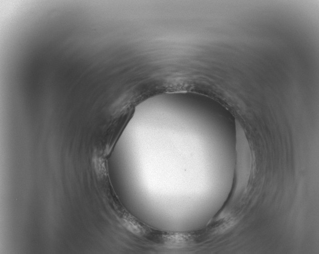 X0000059040432200510211939