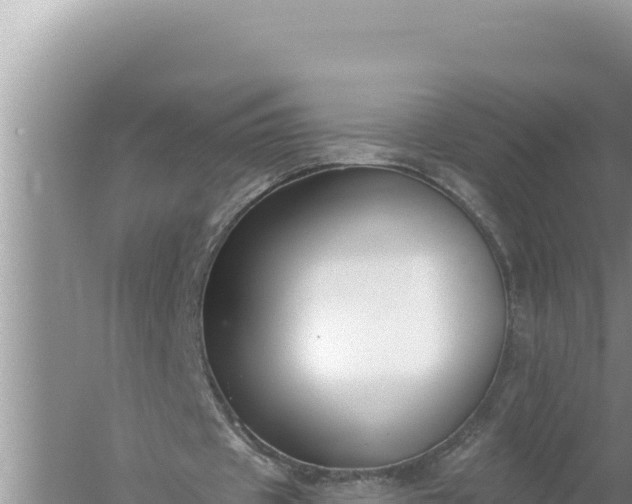 X0000059040433200510211938