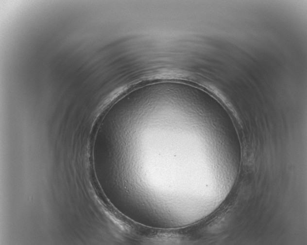 X0000059040437200510211938