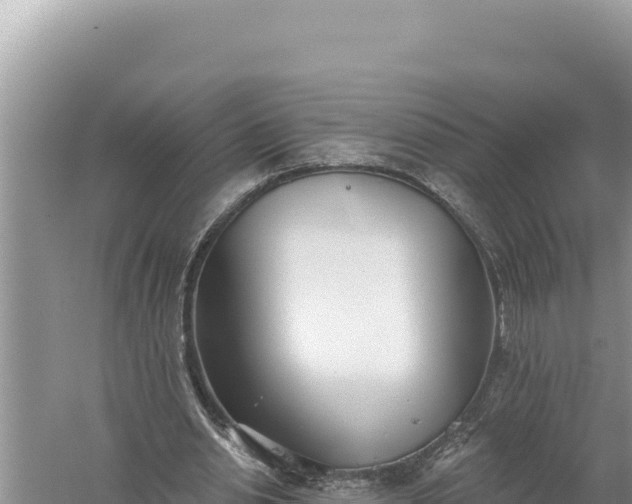 X0000059040438200510211938