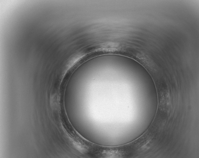 X0000059040440200510211938