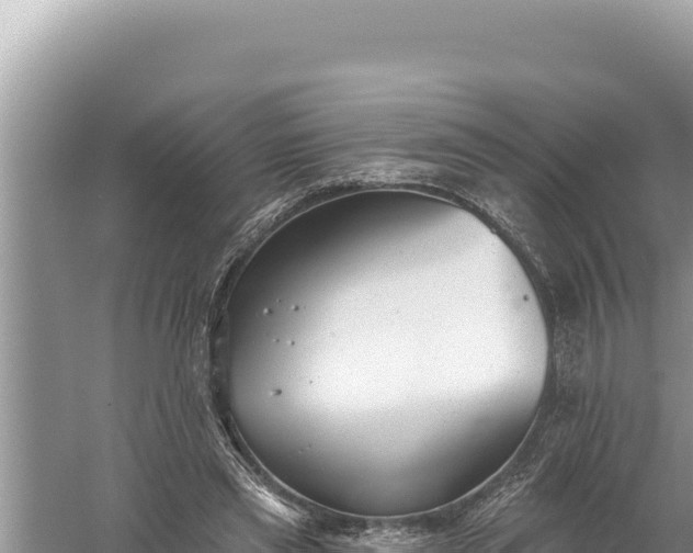 X0000059040445200510211938