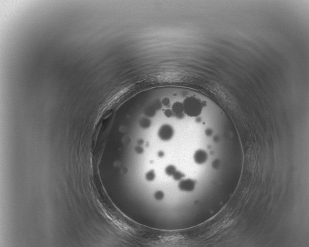 X0000059040446200510211938