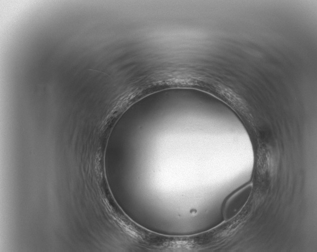 X0000059040449200510211938