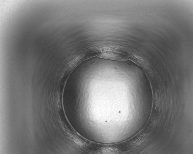 X0000059040453200510211938