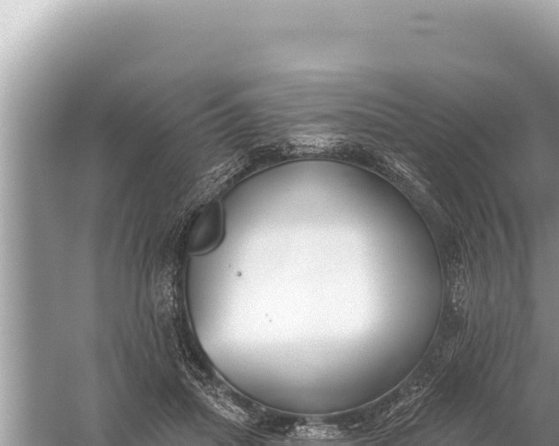 X0000059040455200510211938