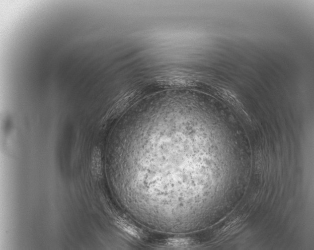 X0000059040457200510211938