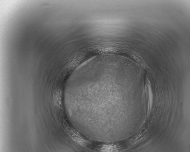 X0000059040458200510211938