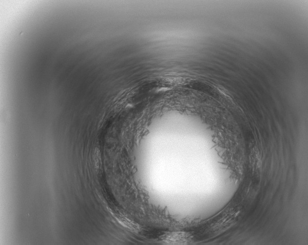 X0000059040459200510211938