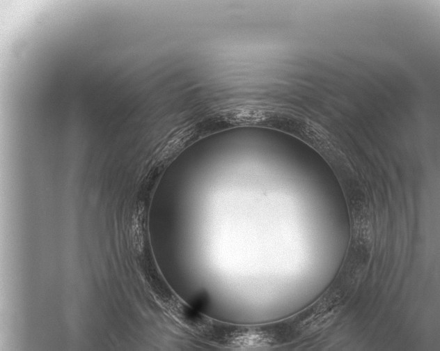 X0000059040460200510211938