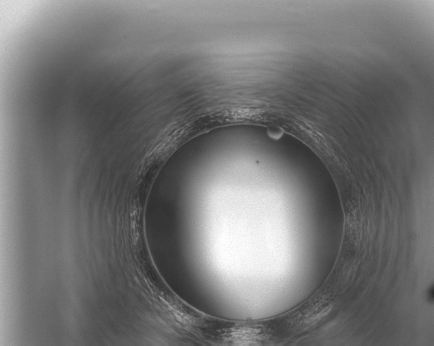 X0000059040462200510211938