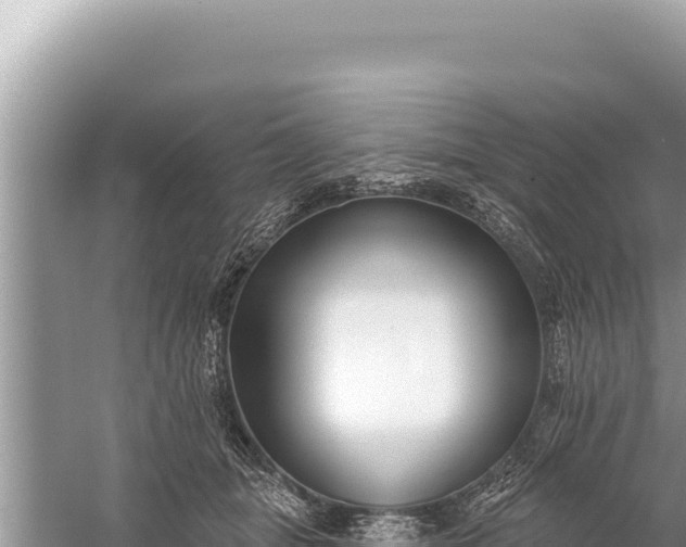 X0000059040463200510211938