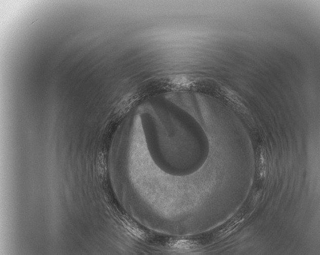 X0000059040467200510211938