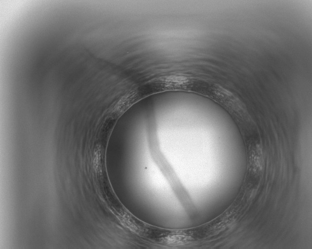 X0000059040468200510211938