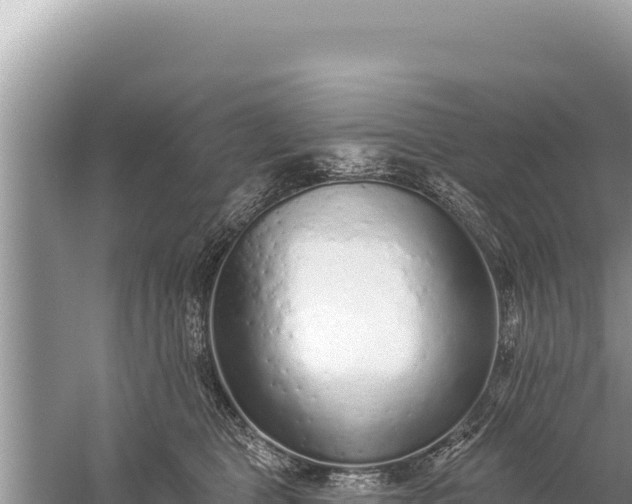 X0000059040469200510211938