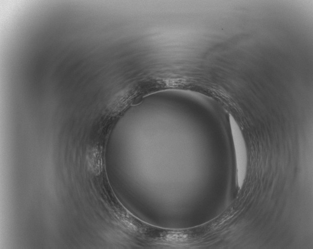 X0000059040471200510211938