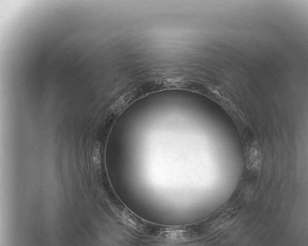 X0000059040472200510211938