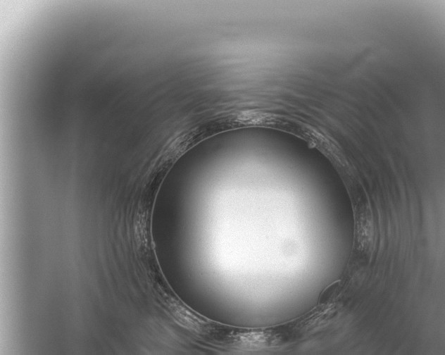 X0000059040473200510211938