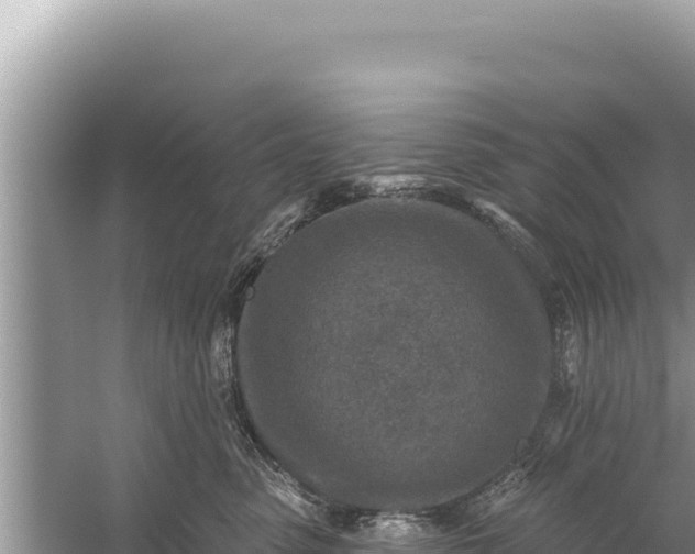 X0000059040475200510211939