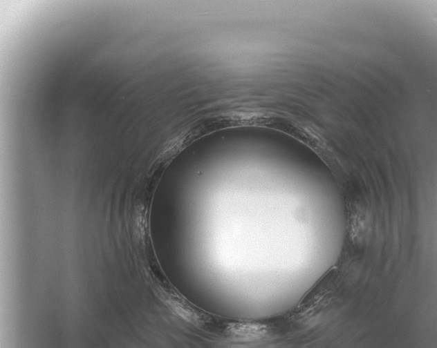 X0000059040476200510211939