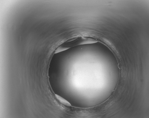 X0000059040481200510211938