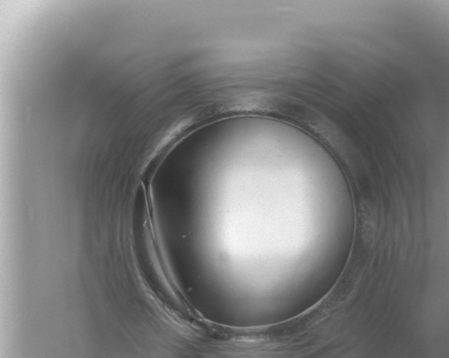 X0000059040482200510211938