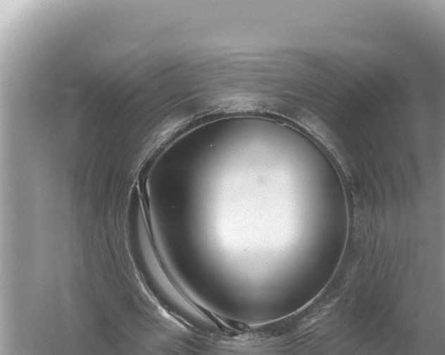 X0000059040485200510211938