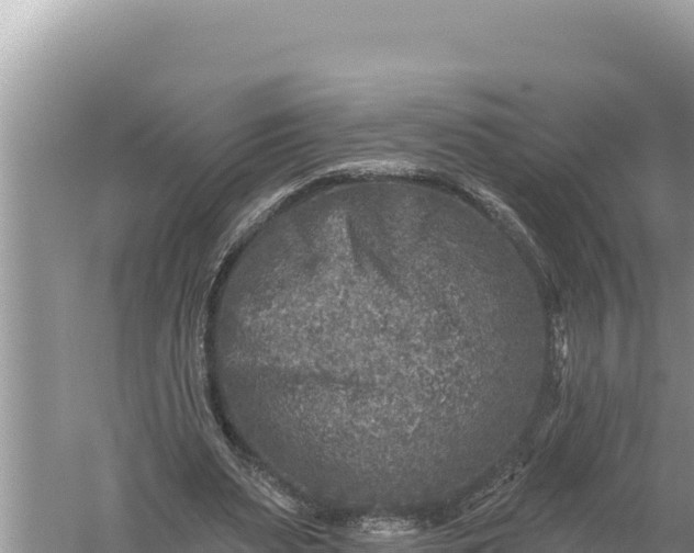 X0000059040487200510211938