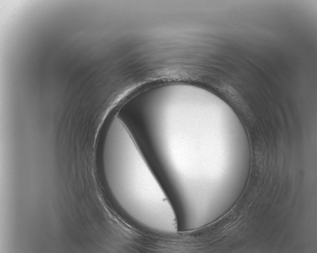 X0000059040488200510211938