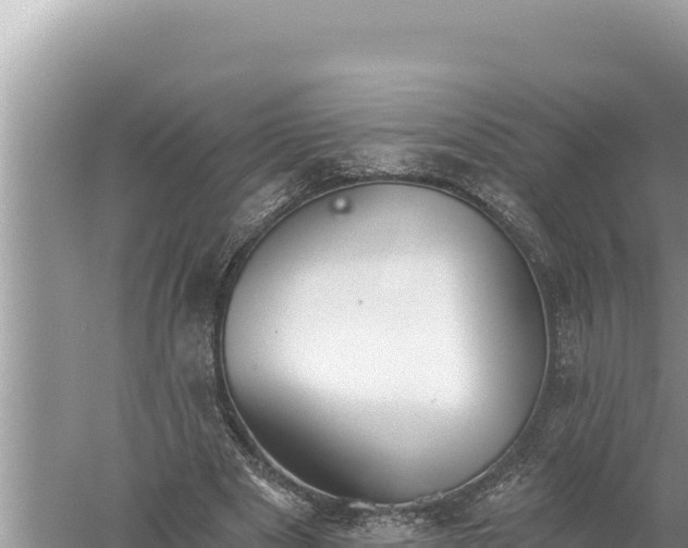 X0000059040489200510211938