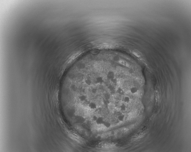 X0000059040491200510211938