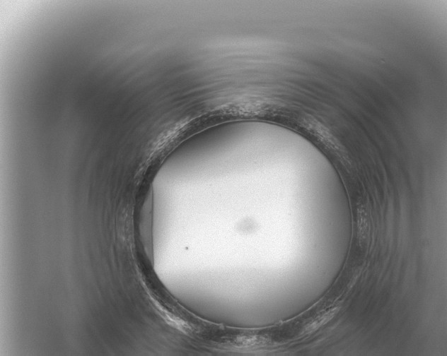 X0000059040493200510211938