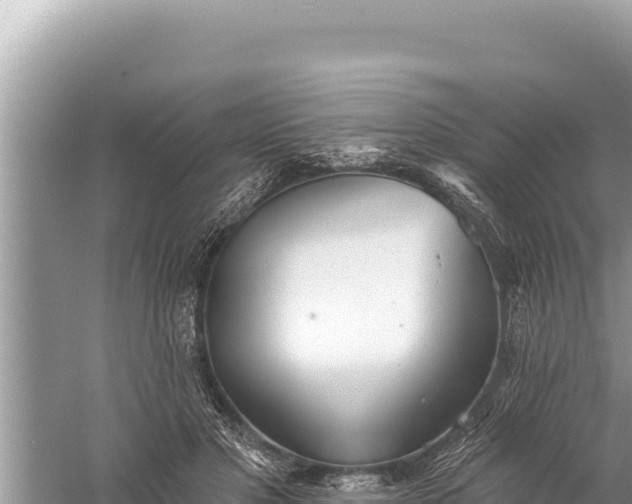 X0000059040501200510211937