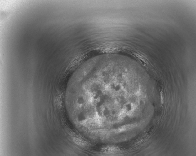 X0000059040503200510211937