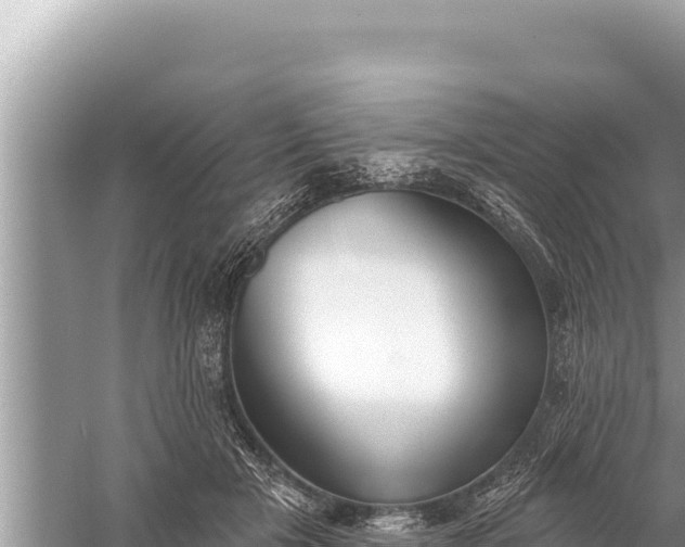 X0000059040505200510211937