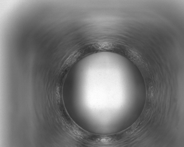 X0000059040506200510211937