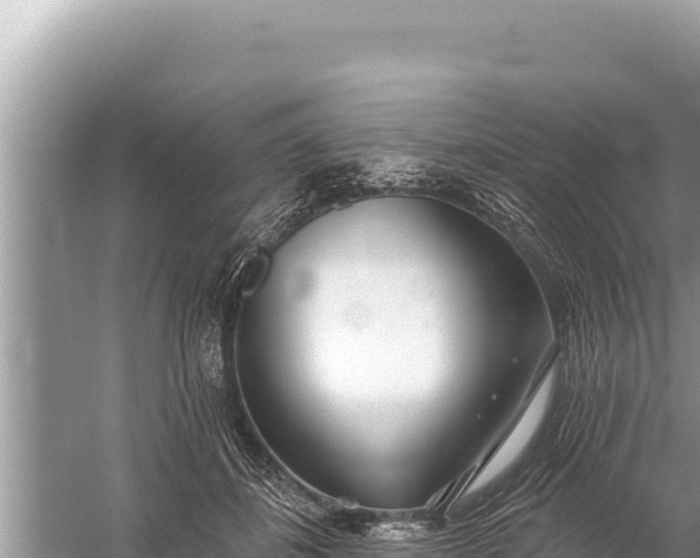 X0000059040508200510211937