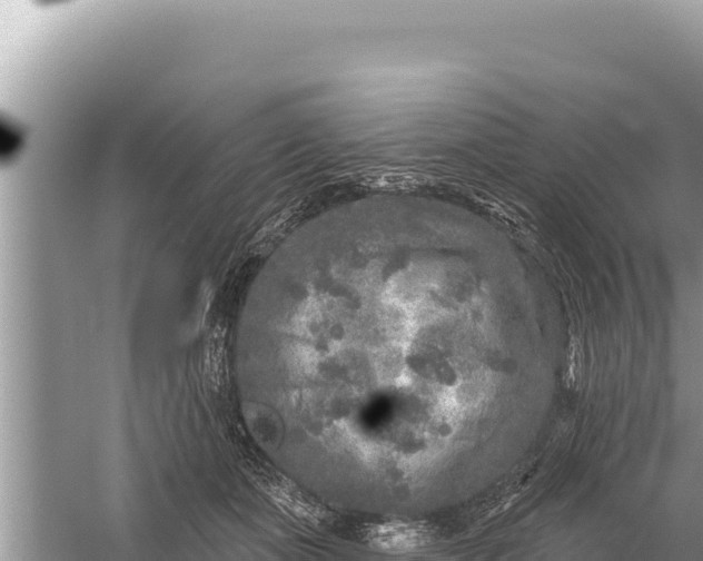 X0000059040511200510211937