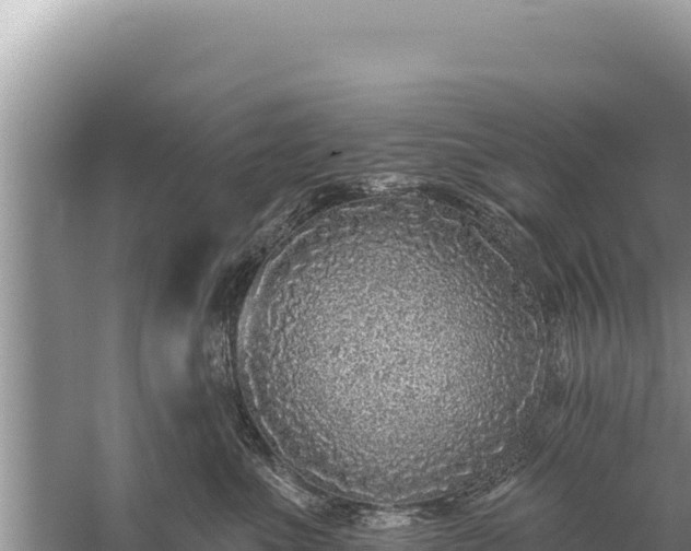 X0000059040523200510211937