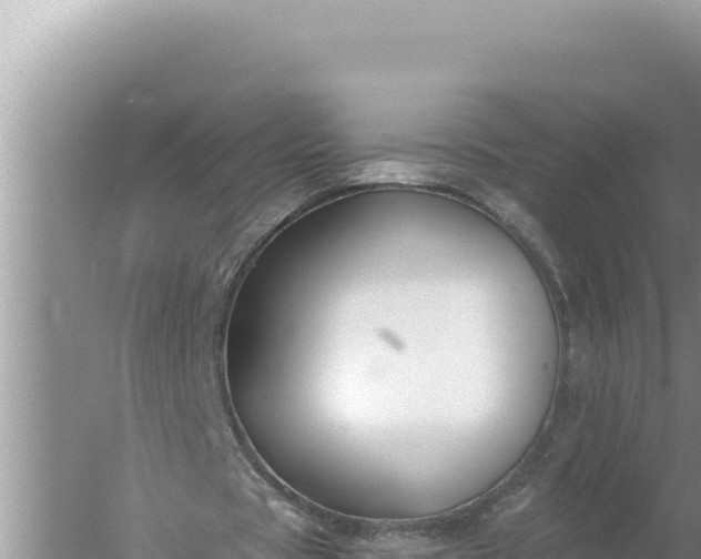 X0000059040529200510211936