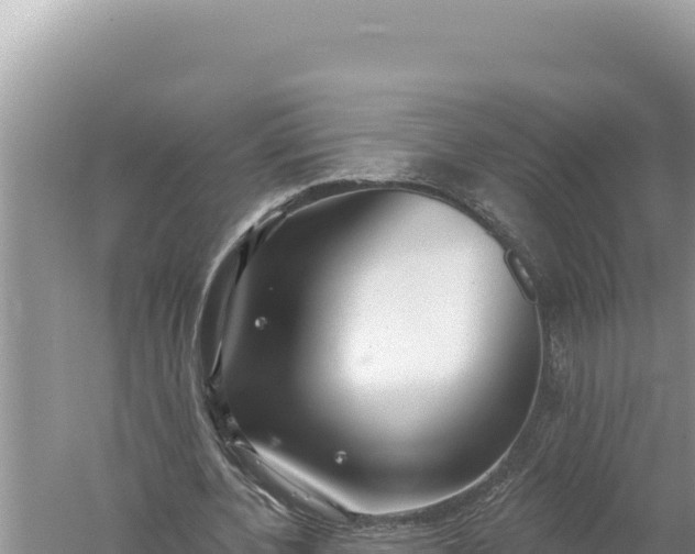 X0000059040532200510211936