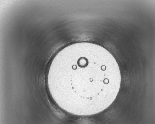 X0000059040534200510211936