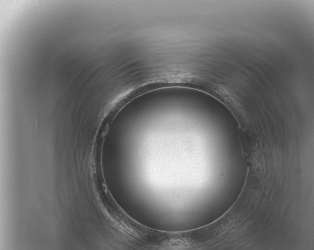 X0000059040536200510211936