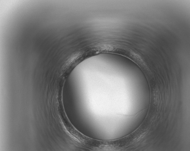 X0000059040538200510211936