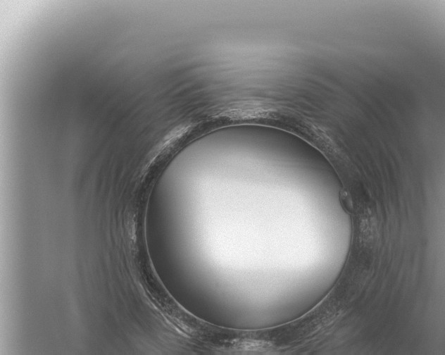 X0000059040539200510211936