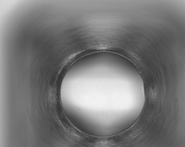 X0000059040540200510211936