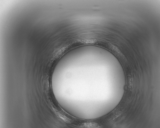 X0000059040541200510211936