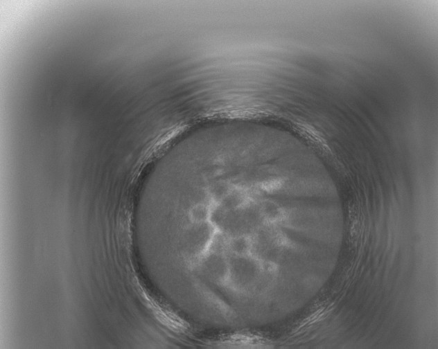 X0000059040542200510211936