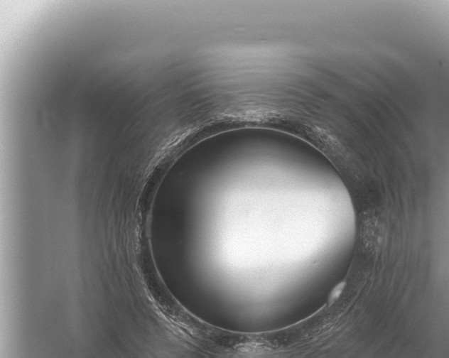 X0000059040544200510211936